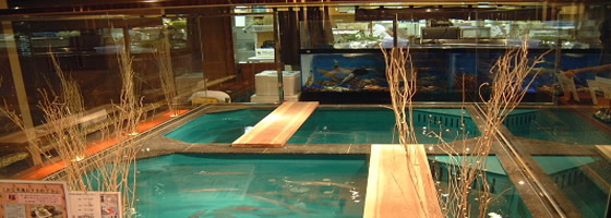 お店に合わした活魚水槽