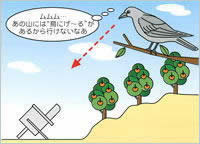 鳥にげーる 設置状況1